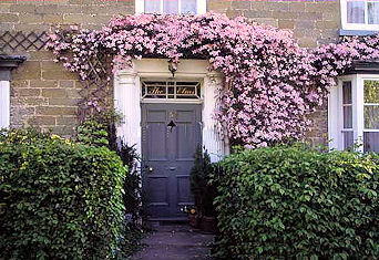The Elms front door with clematis
